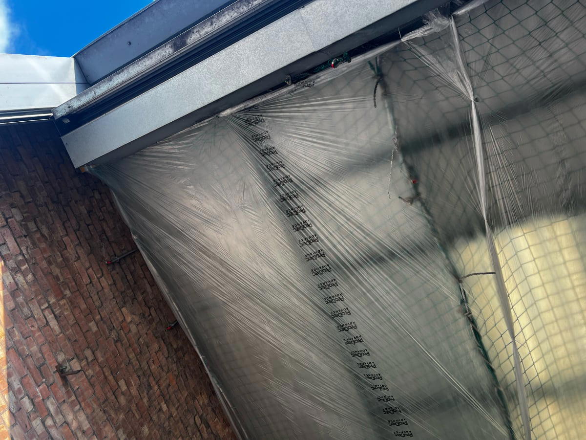 Under Netting Inside Image