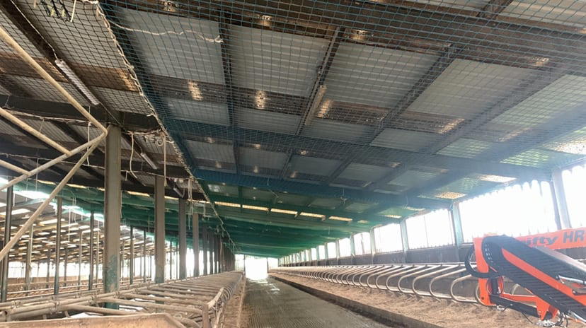 Under Netting Inside Image
