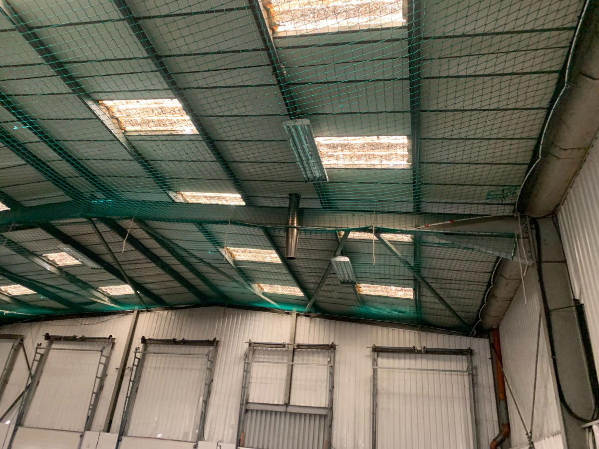 Under Netting Inside Image
