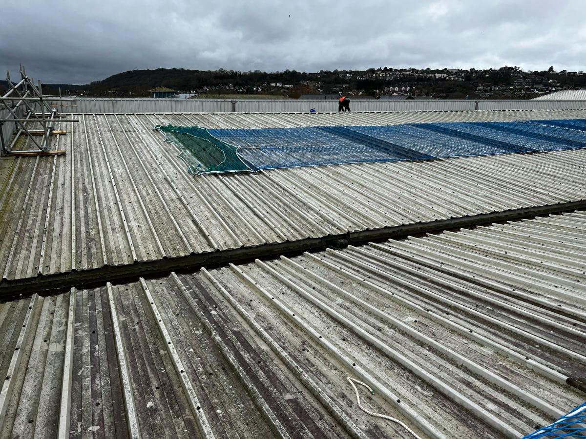 Over Netting Image