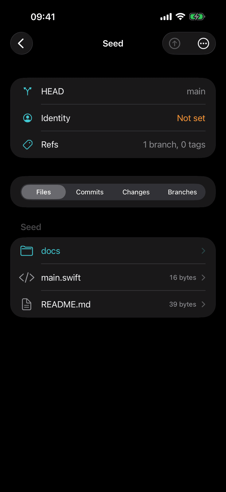 Dev Army Knife on iPhone: Git. Clone, commit, branch, merge and push repositories