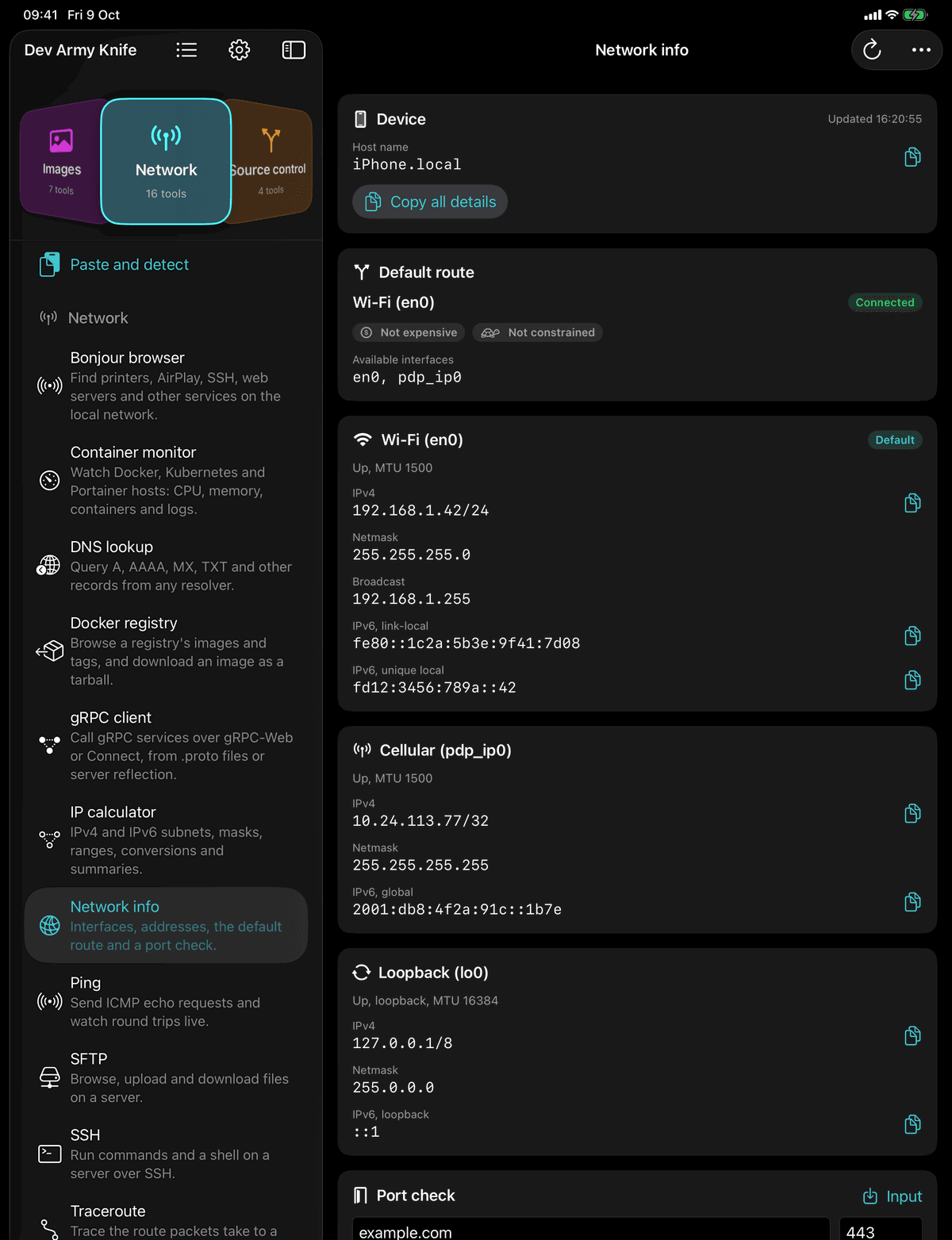 Dev Army Knife on iPad: Network info. Interfaces, addresses, the default route and a port check